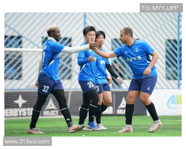 悉尼队与新城堡联队激战正酣谁将赢得这场精彩对决